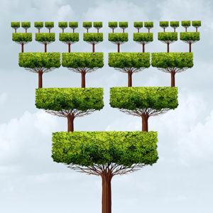 Simple and Efficient Growth