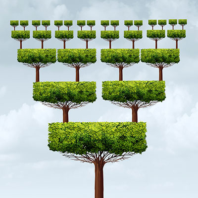 Simple and Efficient Growth