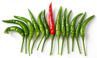 Set your business apart