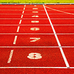 Assess the Competition